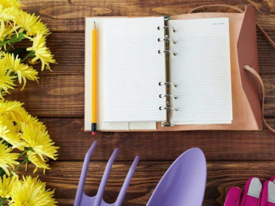 Plants calendar 2022: make your garden bloom all year round