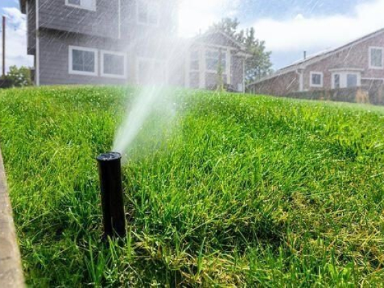 5 Irrigation Plumbing Issues Increasing Your Water Bill + How to Save