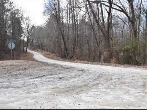 PROGRESS: Rowen generating international interest in eastern Gwinnett County