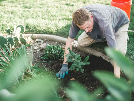 10 Landscaping Trends To Try This Year