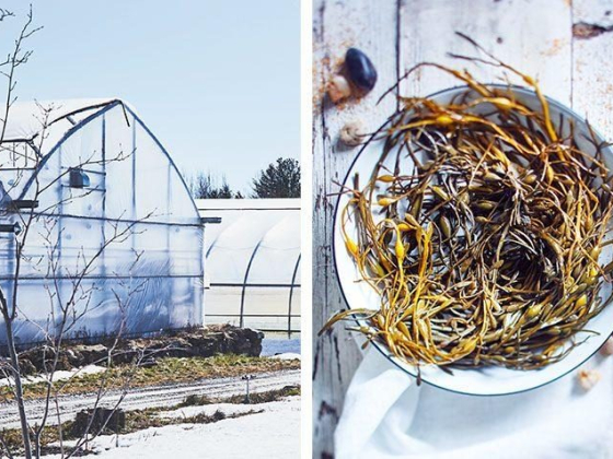 10 Food Trends for 2023