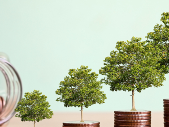 What Is Probate Court: A Complete Guide