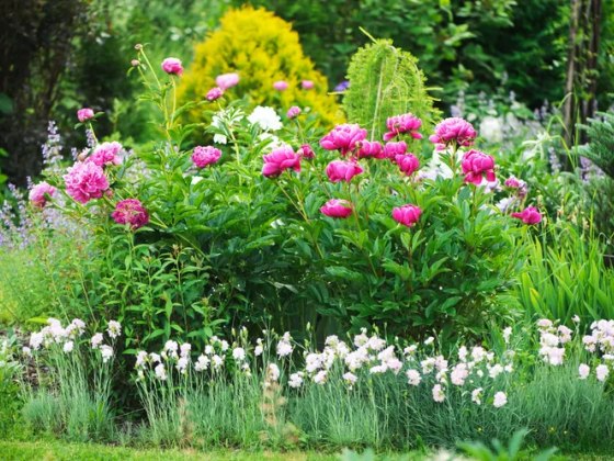Gardening Pros Have Named These Favorites the Flower and Plant of the Year