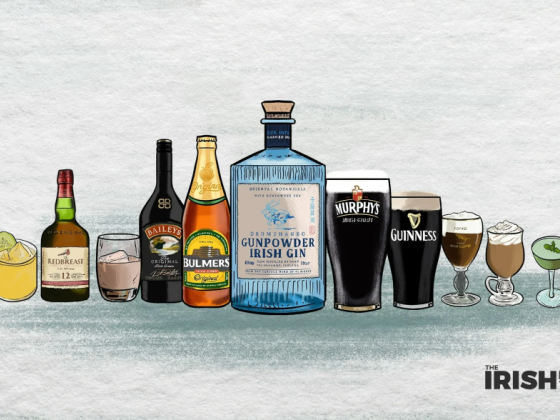 15 Best Irish Drinks: A Dubliners Guide to Irish Alcohol