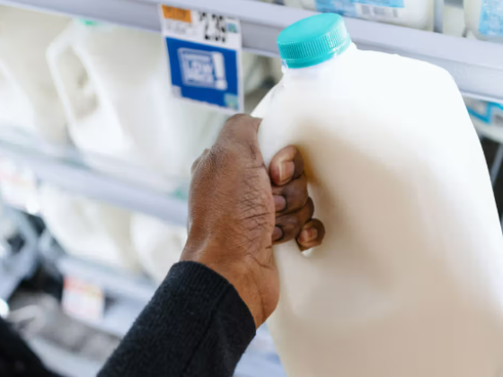FDA Finds Traces of Bird Flu Virus in Grocery Store Milk But Says It's Still Safe