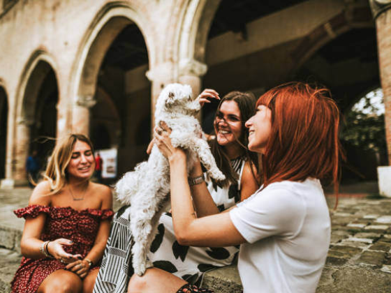 International Pet-Care Practices: Learning from Abroad