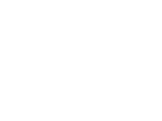 Macon Film Festival