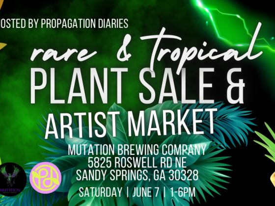 Rare and Tropical Plant Sale and Artist Market: Mutation Brewing
