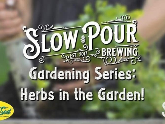 Gardenig Series: Herbs in the Garden!