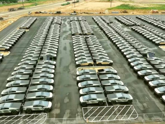 Surplus Teslas Flood Parking Lot in Detroit Suburb