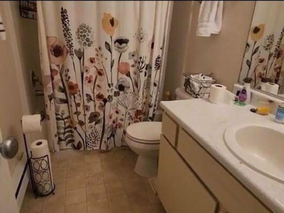 How to Do Bathroom Organization & Decoration on a Budget