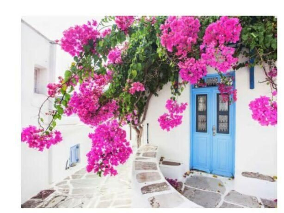 Mediterranean Summer Color Trend: Teal & Bougainvillea Pink