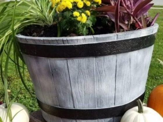 The Secret of My Huge Planter