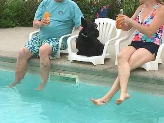 11 Amazing Backyard Ideas Everyone Will Be Copying This Summer!