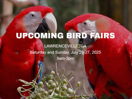 Southeast Exotic Bird Fair
