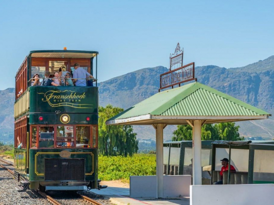 Dreaming of Travel? Escape to Cape Town When You Can