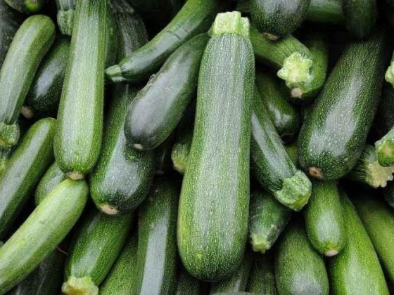 How to Preserve Zucchini Squash