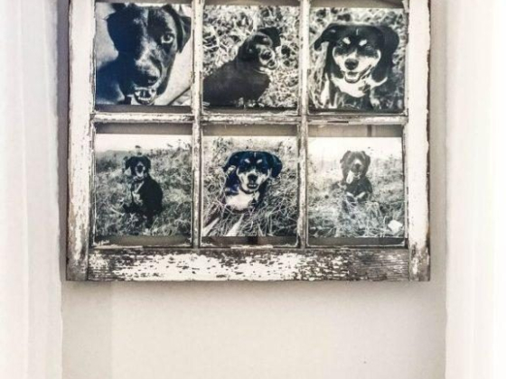 8 Creative Ways to Display Your Favorite Photos