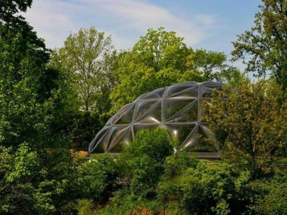 How They Grow Food Year-Round in Canada Using Backyard Permaculture