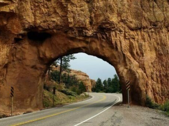 7 Breathtaking Natural Tunnels You Can Drive Through