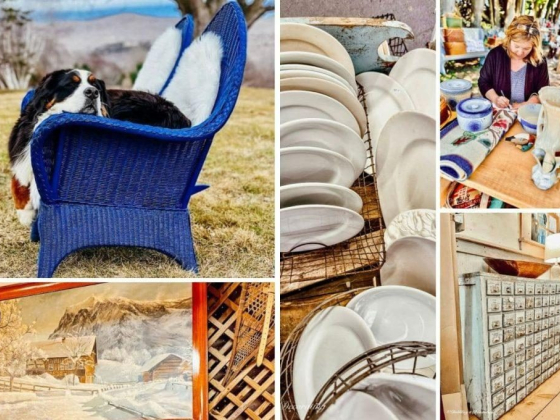 7 Things I’ll Never Thrift Again—and the Vintage Decor I Buy Now Instead