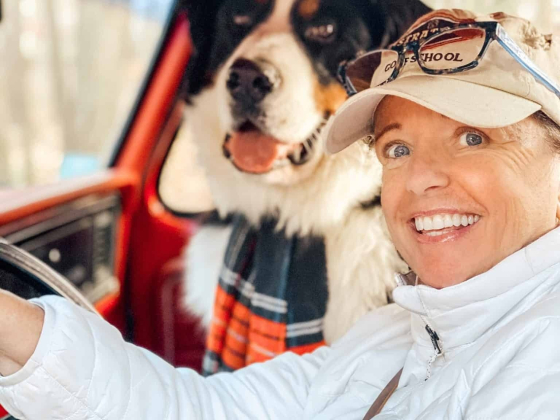 Ann | Dabbling & Decorating