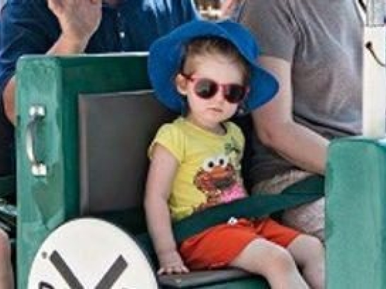 Peachtree Corners Festival