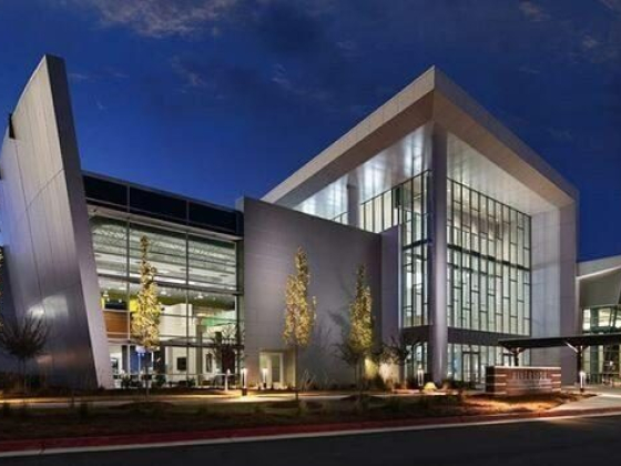 The Meet Up Experience