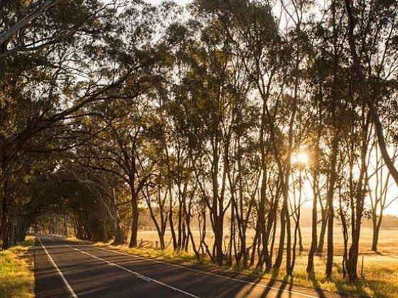 On the road from Bendigo to the Yarra Valley
