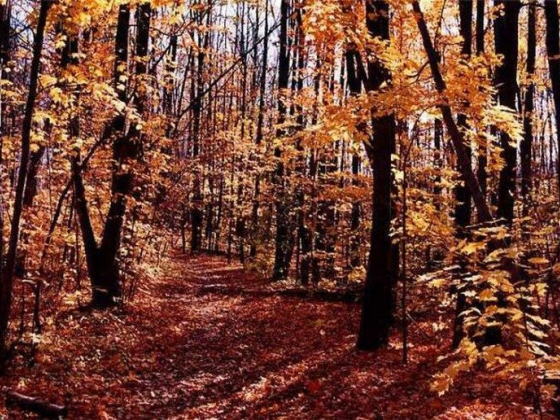 The Top 10 Things to See and Do in Hamilton, Ontario