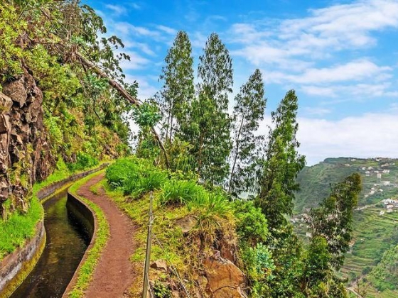 16 Top-Rated Tourist Attractions in Funchal