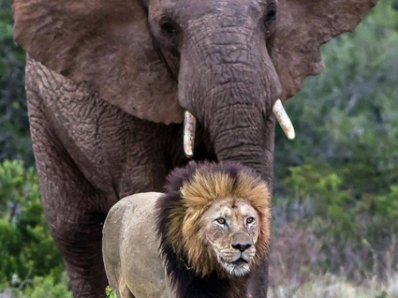 6 Fun Things to do in Gqeberha This Weekend