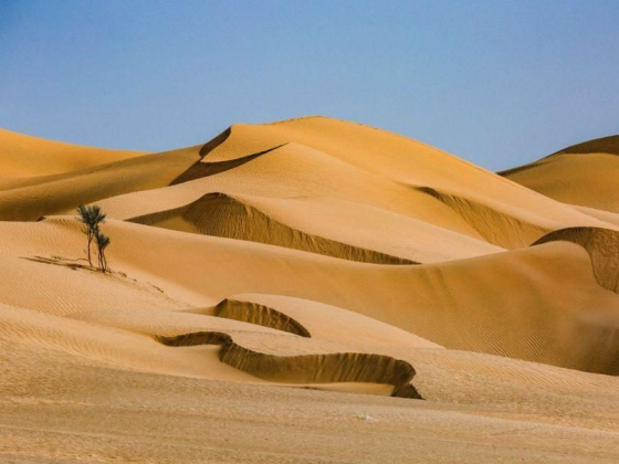 10 reasons to visit Muscat, Oman