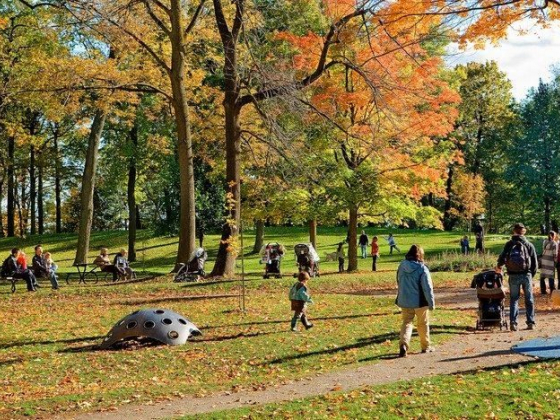 10 Best Free Things To Do in Montreal