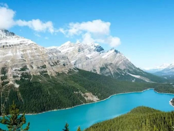 Peyto Lake, Canada – Everything You Need to Know About It