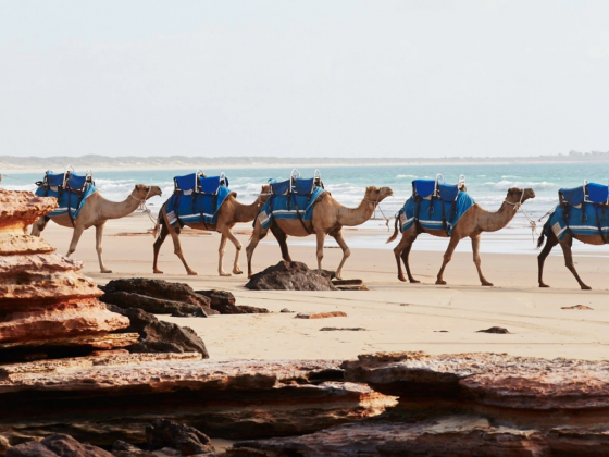 The Best Things to Do in Broome