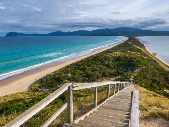 An Insider’s Guide to Bruny Island
