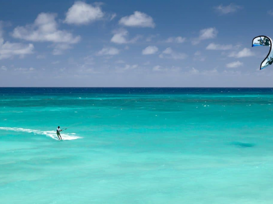 18 AWESOME THINGS TO DO IN EXMOUTH, WA