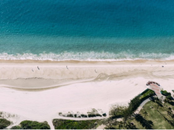 When is the Best Time to Visit the Gold Coast?