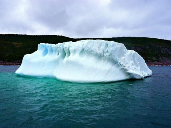 BEST THINGS TO DO IN ST. JOHN’S, NEWFOUNDLAND