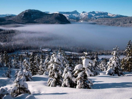 15 Must-Visit Attractions on Vancouver Island