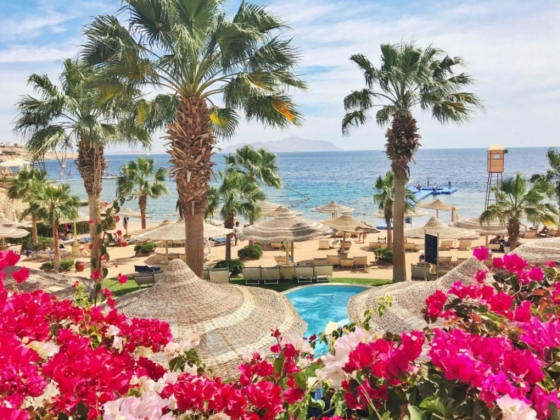 SHARM EL SHEIKH: EGYPT THE LOST PARADISE