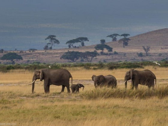 KENYA’S INCREDIBLE LAKE NAKURU