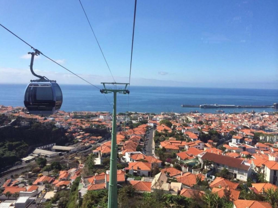 Travel Guide: Top 10 Things to See and Do in Madeira