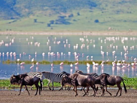 An Introduction to the Ngorongoro Conservation Area