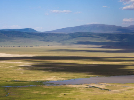 THINGS TO SEE & DO IN THE NGORONGORO CRATER