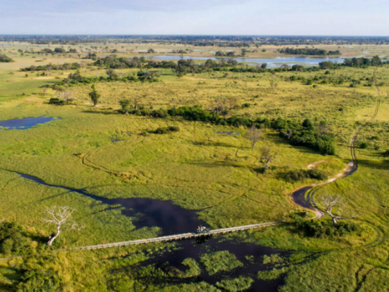 When To Travel To The Okavango Delta
