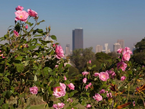 10 Reasons Why You Should Visit Pretoria