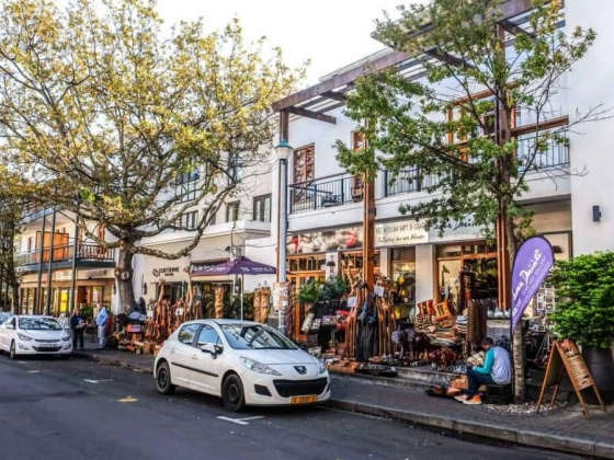 Things to Do in Stellenbosch, South Africa – A Guide to Wine Cultivation and Culture in the Western