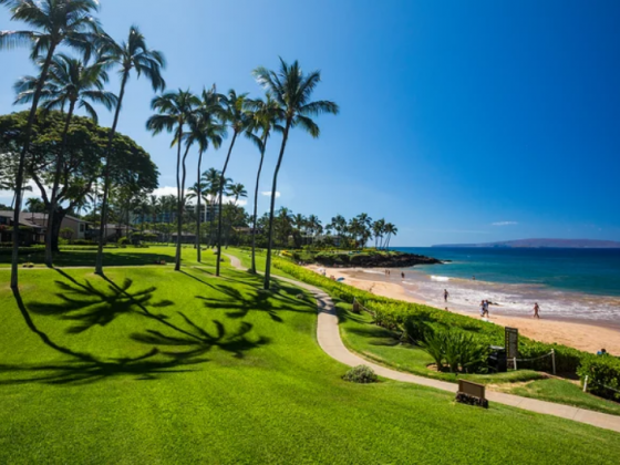 Maui Travel Guide